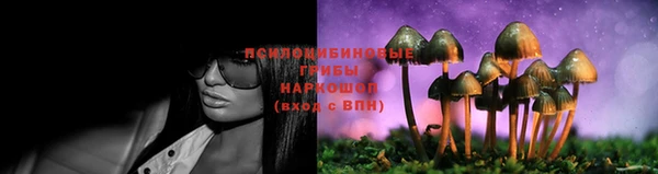 МДПВ Арсеньев