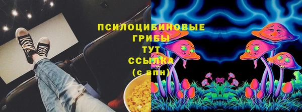 МДПВ Арсеньев
